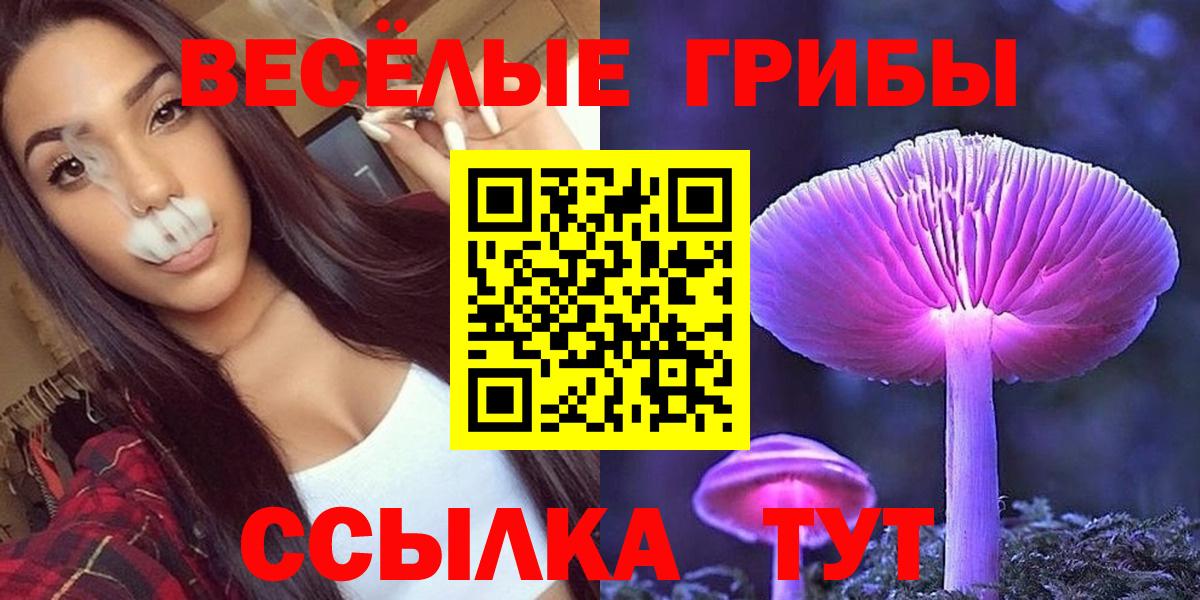 Псилоцибиновые грибы мицелий Донской