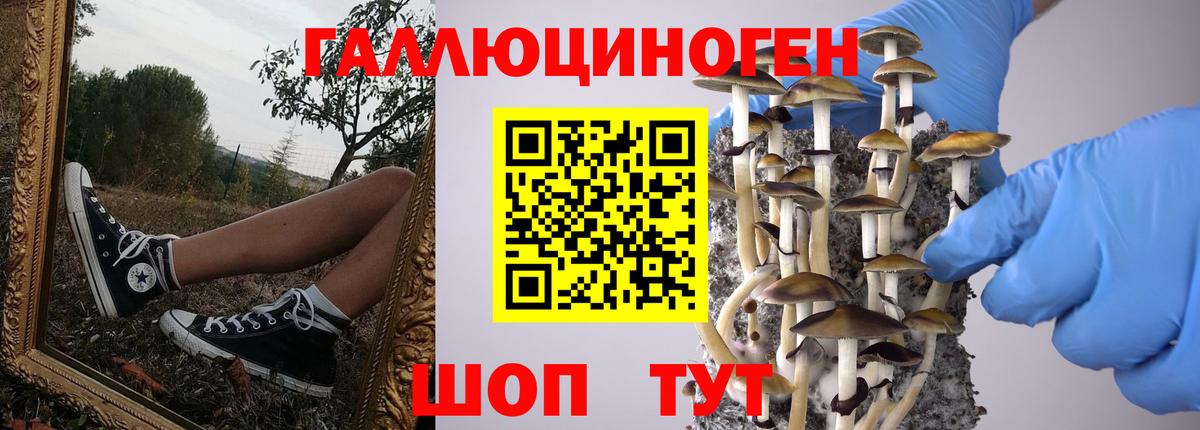 Псилоцибиновые грибы Cubensis  Вход с VPN  Донской 
